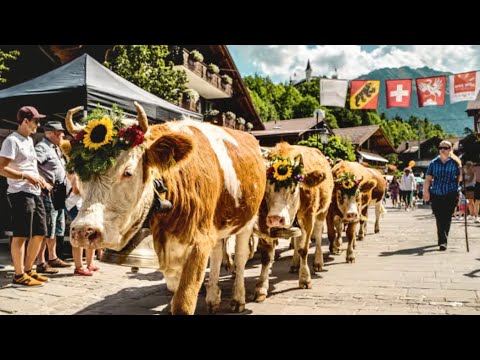 Gstaad – the Alpine Capital of Luxury✨Switzerland || Travel Guide