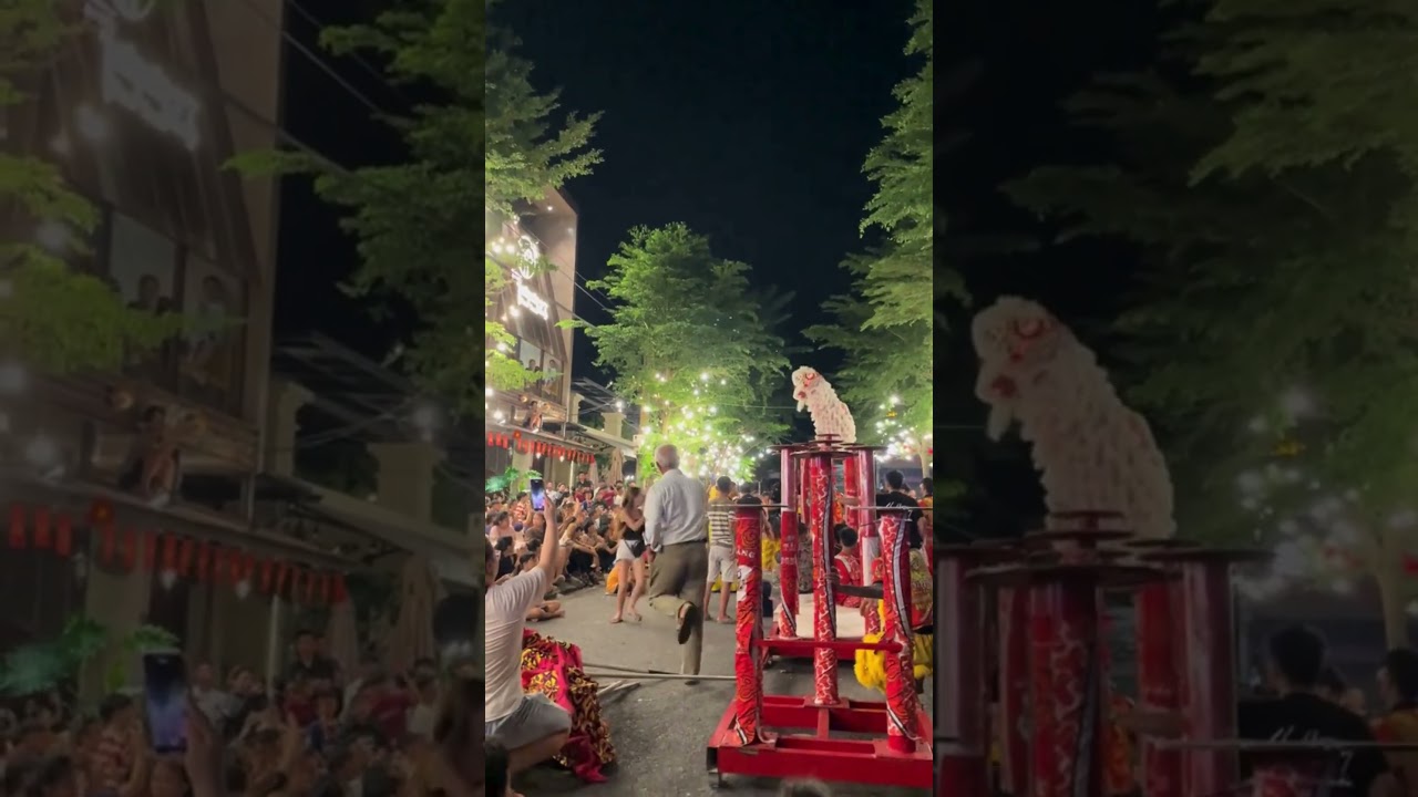 The Vietnamese Heartbeat - Vietnam travel guide #vietnam #viral