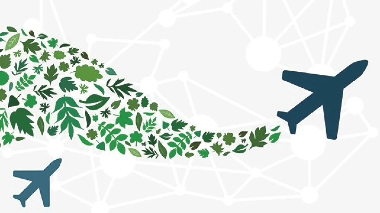 IATA calls for better global cooperation on aviation climate action