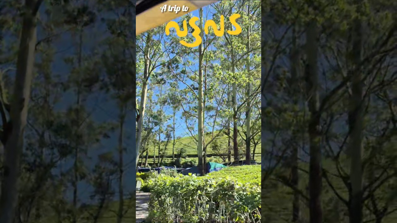 A trip to Vattavada ..travel guide🍓🏞 Part 1 #vattavada#vattavadadiaries#travelvlog